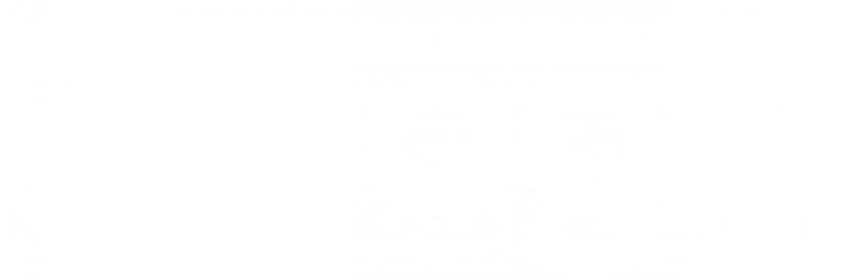 Google logo white