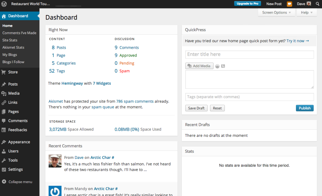 WordPress admin dashboard showing a website's content and activity overview